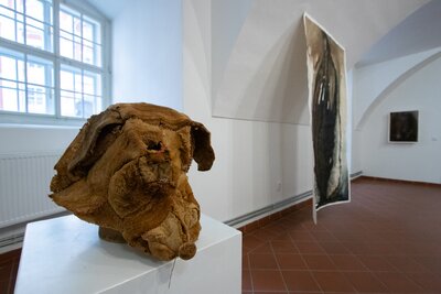 Z výstavy Marie Ladrové / Fungus regnum - Království hub 