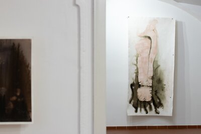 Z výstavy Marie Ladrové / Fungus regnum - Království hub 