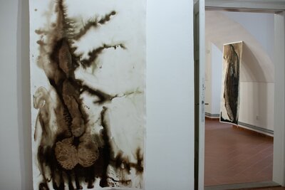 Z výstavy Marie Ladrové / Fungus regnum - Království hub 