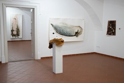 Fungus regnum - Království hub / Marie Ladrová