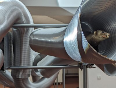 Jan Stolín / Ze dne do noci, foto: RAW