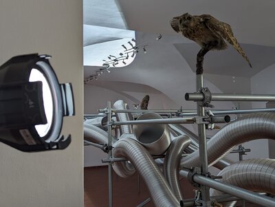 Jan Stolín / Ze dne do noci, foto: RAW