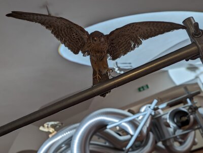 Jan Stolín / Ze dne do noci, foto: RAW