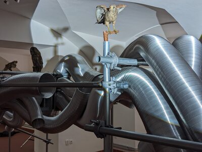 Jan Stolín / Ze dne do noci, foto: RAW