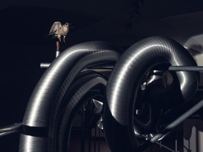 Jan Stolín / Ze dne do noci, foto: Tom Šrejber