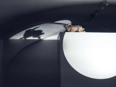 Jan Stolín / Ze dne do noci, foto: Tom Šrejber