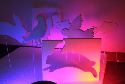 Workshop s Janem Stolínem