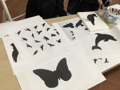 Workshop s Janem Stolínem