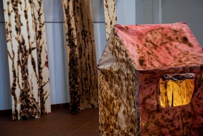 Olga Paštéková / Mezisvěty, Foto: Martin Máslo