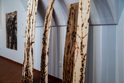 Olga Paštéková / Mezisvěty, Foto: Martin Máslo