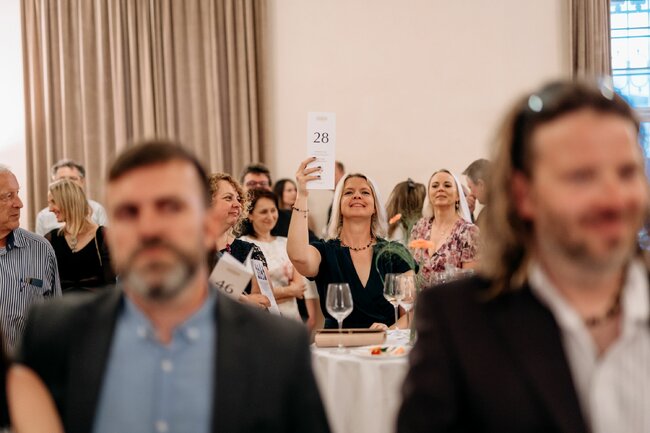 Broumov o první červnovém víkendu ožije nejlepším vínem, hudbou a dobročinností