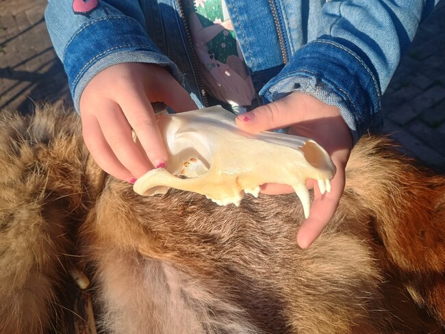 O přírodě prakticky a hravě. Broumovská Maiwaldova akademie přichází s novými vzdělávacími nástroji pro školy 