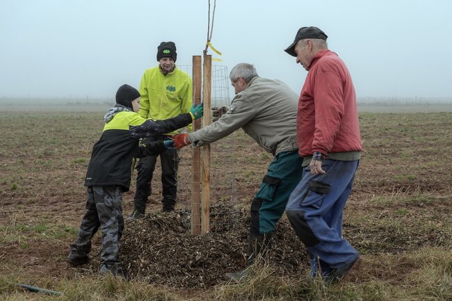 Strategická rada pozvala veřejnost k sázení stromů