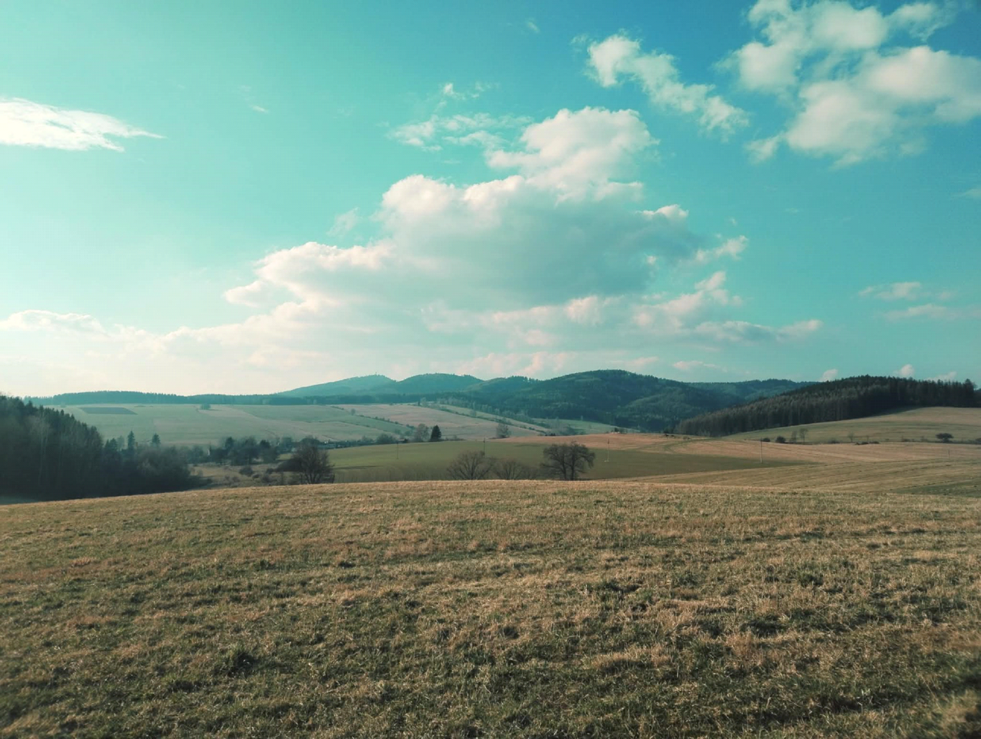 Geländeexkursion: Waldnetze der Javorské-Berge — Multifunktionssaal Dřevník, Broumov