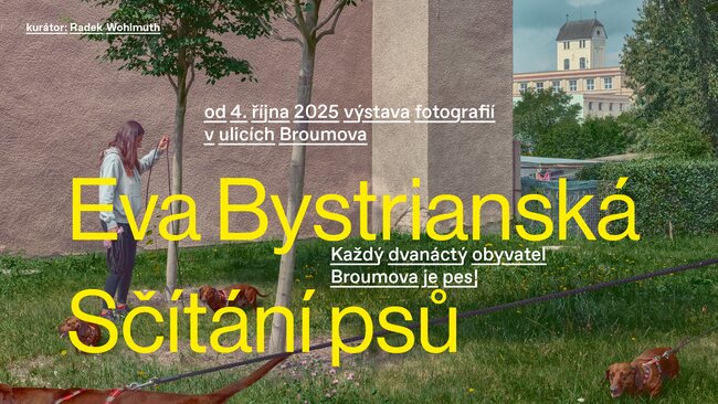 Sčítání psů - Eva Bystrianská