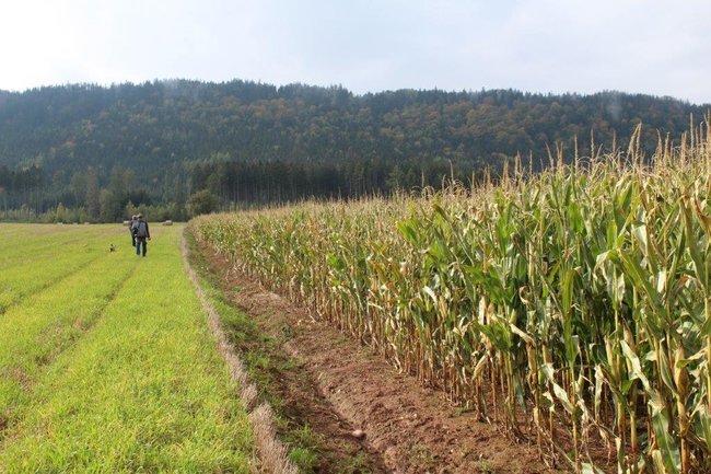 Adaptace na klimatickou změnu Broumovsko I