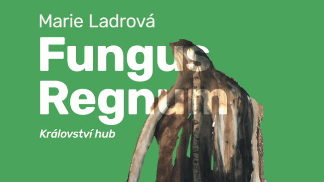 Marie Ladrová - Fungus Regnum / Království hub